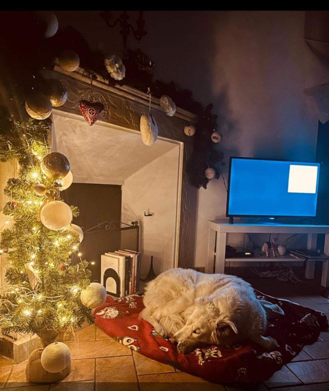 La Casa Di Miri Apartman Foligno Kültér fotó